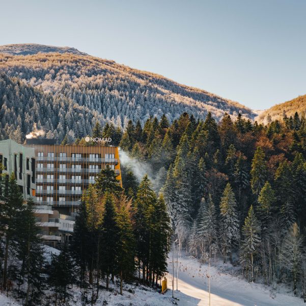 Untitled design (72)