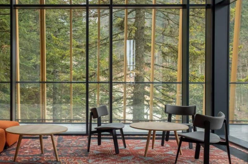 Untitled design (91)