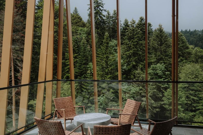 Untitled design (92)